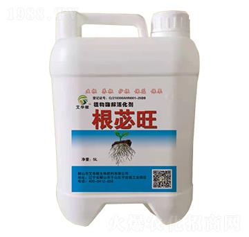 ֲ��ø����-��ƃ��-���A��