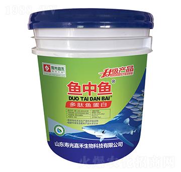 �����~����-�~���~-�۹�κ�