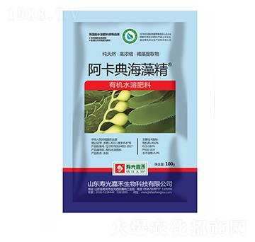 �����亣�徫-�۹�κ�