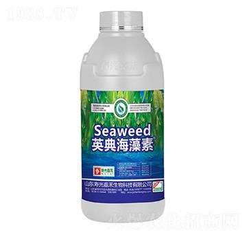 Ӣ�亣����-�۹�κ�