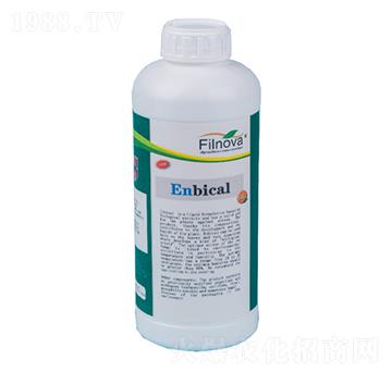 ���º��x���Ƅ�-���ؿ�-�M���Z