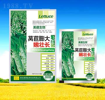 萵苣膨大嫩壯長(zhǎng)-美德生物
