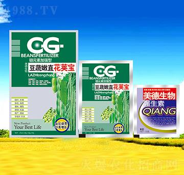 ������ֱ���v��-������