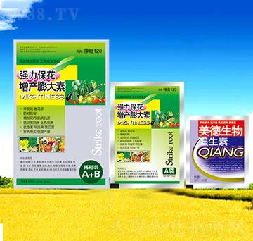 �������a(ch��n)�����-������