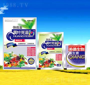 ������S�~����1+1-