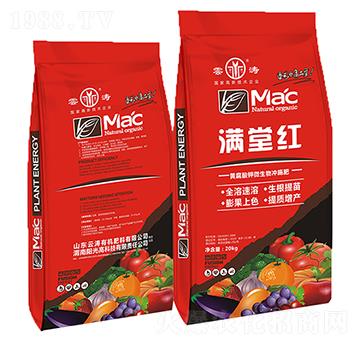 �M�üt�S����⛛_ʩ��-