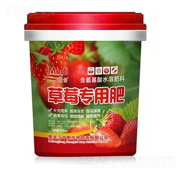 草莓專用肥-魔笛-中肥