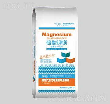 60%������V-���r(n��ng)��