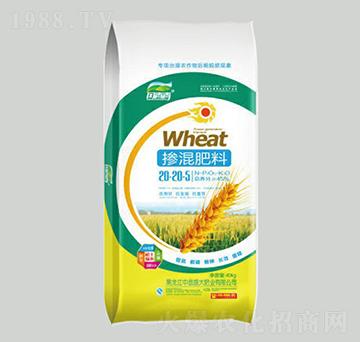 �������20-20-5