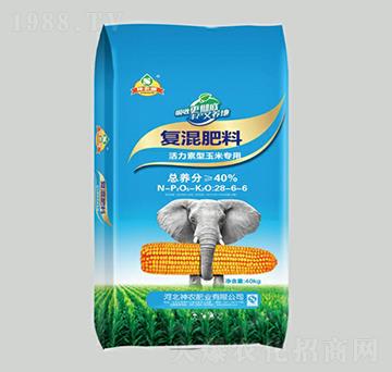 �����������׌��Ï�(f��)���