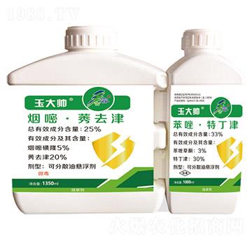 25%���ס�ݬȥ��+33%�����ض���-���-����