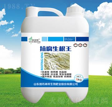 抗腐生根王-神邦生物