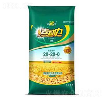 �ͺϷ���20-20-8-���л���