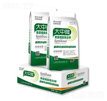 ����΢�S��ֲ�������-