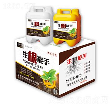 ��������-�(y��ng)��_��-�(y��ng)