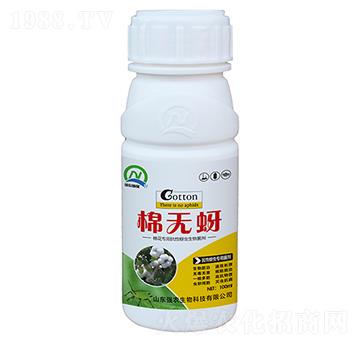 抗性蚜蟲專用菌劑-棉無蚜-強(qiáng)農(nóng)生物