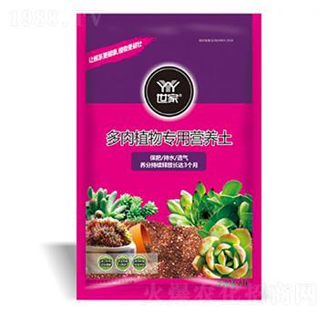 ����ֲ�(zhu��n)�àI(y��ng)�B(y��ng)��-����-�ƺ�(li��n)��