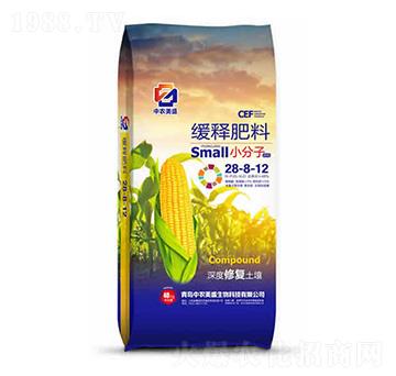 ��ጷ���28-8-12-���r��ʢ