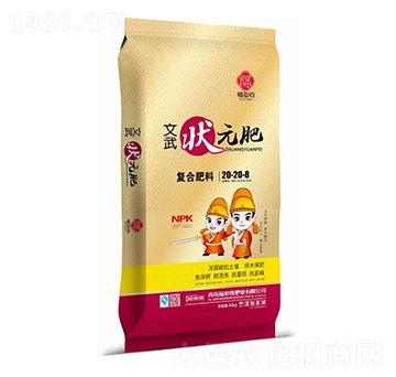 �ͺϷ���20-20-8-�����Ԫ��-���r��ʢ