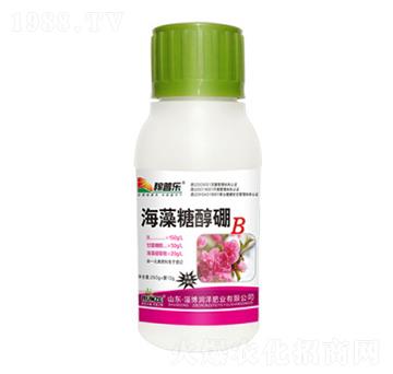 �����Ǵ���-���՘�(l��)-��(r��n)�ɷʘI(y��)