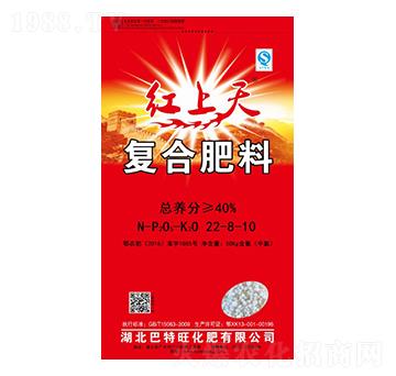 �ͺϷ���22-8-10