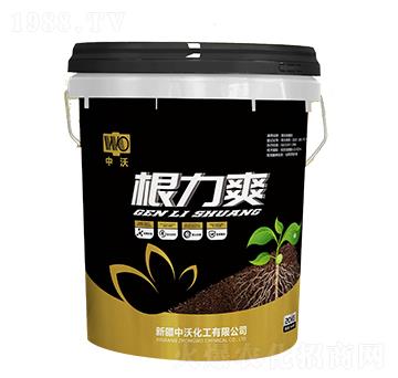 ����ˬ-����