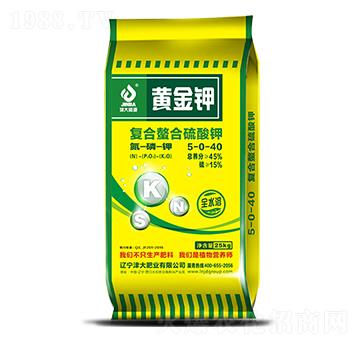 �ͺ����������5-0-