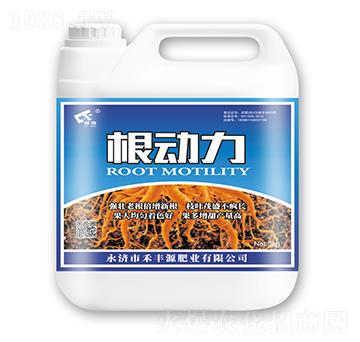 根動(dòng)力-禾豐源肥業(yè)