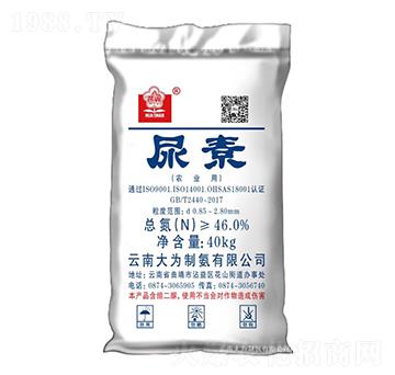 ����-����ư�