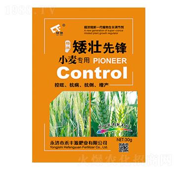 小麥專用矮壯先鋒-禾豐源肥業(yè)