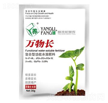 �f���L(zh��ng)-�κ��r(n��ng)�I(y��)