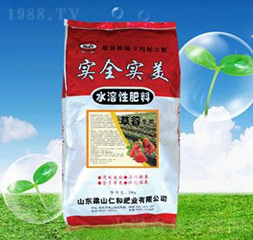 草莓專用水溶性肥料-實全實美-仁和肥業(yè)