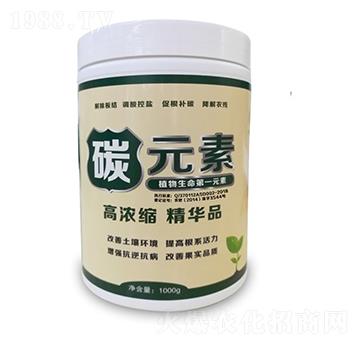 1000g̼Ԫ��-������