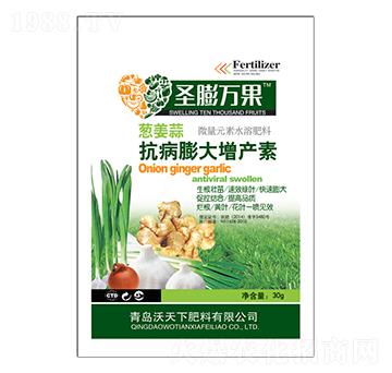 蔥姜蒜抗病膨大增產(chǎn)素-圣膨萬果-沃天下