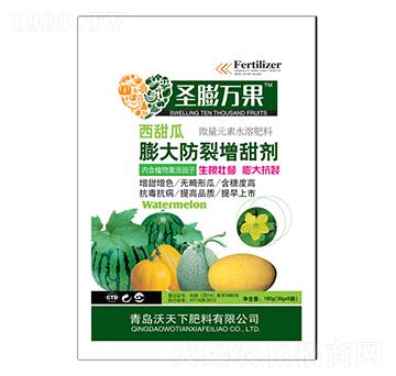西甜瓜膨大防裂增甜劑-圣膨萬(wàn)果-沃天下