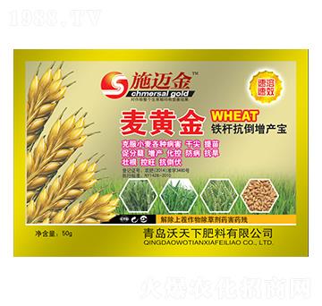 麥黃金鐵桿抗倒增產(chǎn)寶-施邁金-沃天下