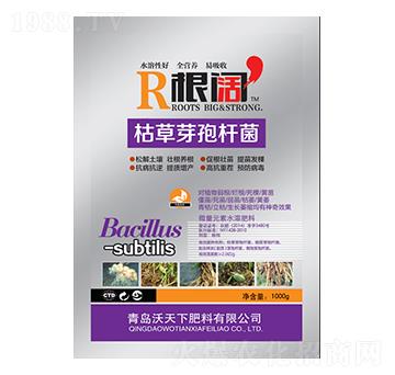 枯草芽孢桿菌-根闊-沃天下
