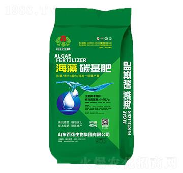 5�|���塤̼����-�ٻ�����