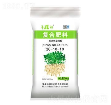 �ͺϷ���20-10-10 �A��