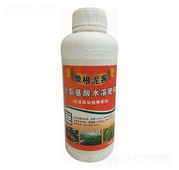 含氨基酸水溶肥料-傲根泥客-金匯農(nóng)業(yè)