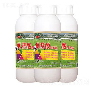 ���������Һ-����