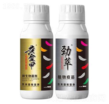 黃點(diǎn)靶斑雙效組合-泰來國際