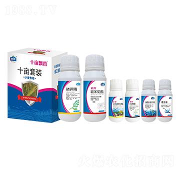 小麥專用十畝套裝 十畝飄香 鉅邦農(nóng)業(yè)
