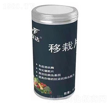 移栽片 邁安達(dá)