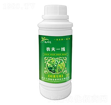 葉菜專用葉面肥 農(nóng)夫一線 九州綠