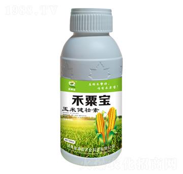 玉米健壯素 禾栗寶 金滿盈農業(yè)