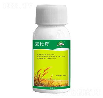 15%Ȳ����-������-