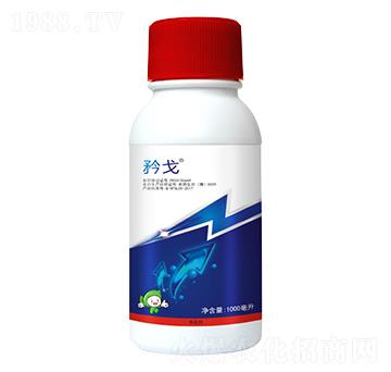 5%���S����-���-�S