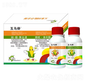 24%��������ݬȥ��+