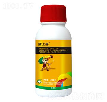 24%����ݬ(��ȫ��)